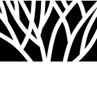MAIN PLACE COMPANY